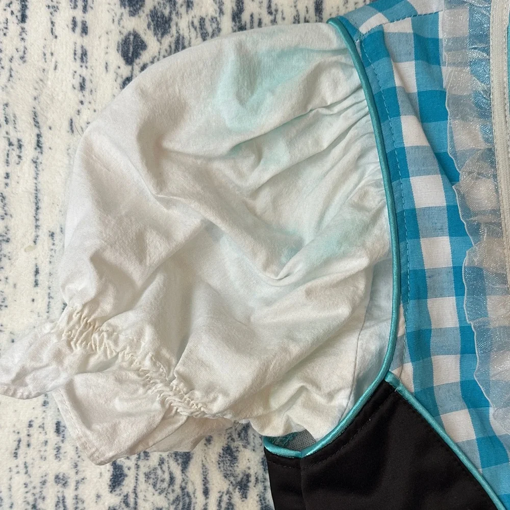 Oktoberfest Blue Gingham Kid or XS adult Costume Dress with Ruffled Blouse